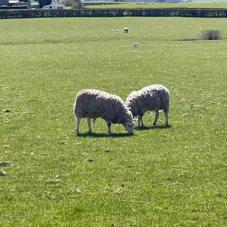 بيت للعطل Penny Black إنغيلتون